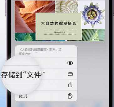 李沧apple维修中心分享iPhone文件应用中存储和找到下载文件