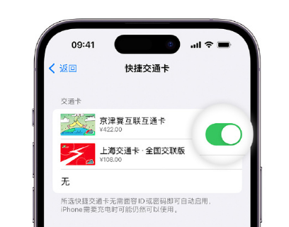 李沧apple维修点分享iPhone上更换Apple Pay快捷交通卡手绘卡面 