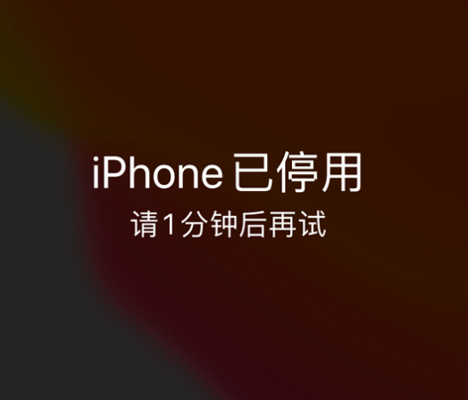 李沧苹果手机维修分享:iPhone 显示“不可用”或“已停用”怎么办？还能保留数据吗？ 