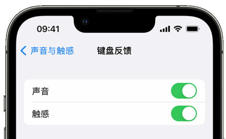 李沧苹果手机维修分享iPhone 14触感键盘使用方法 