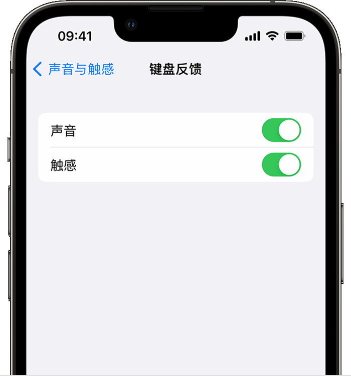 李沧苹果14维修店分享如何在 iPhone 14 机型中使用触感键盘 