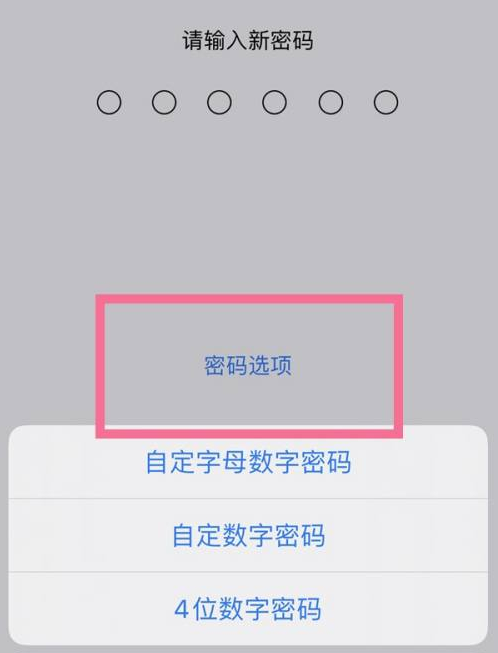 李沧苹果14维修分享iPhone 14plus设置密码的方法 