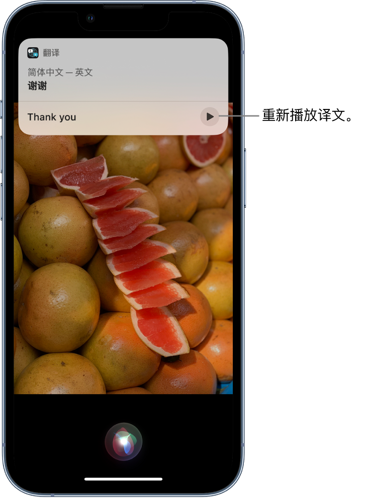 李沧苹果14维修分享 iPhone 14 机型中使用 Siri：了解 Siri 能帮你做什么 