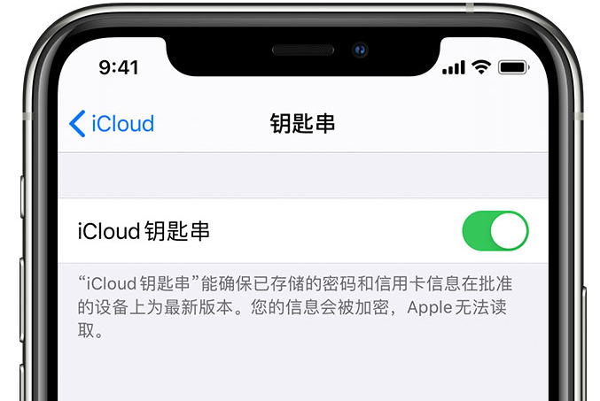 李沧苹果手机维修分享在 iPhone 上开启 iCloud 钥匙串之后会储存哪些信息 