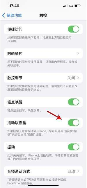 李沧苹果手机维修分享iPhone手机如何设置摇一摇删除文字 