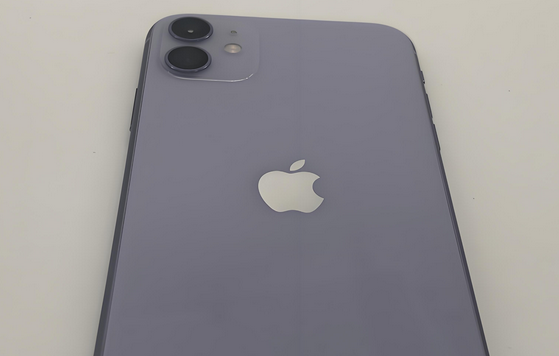 李沧苹果11系统维修分享iPhone11手机系统崩溃无法开机如何解决